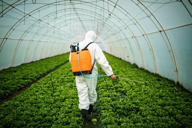 Reliable Rosemont, PA Pest Control Solutions
